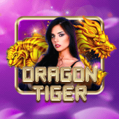 Dragon Tiger on winph99 live casino